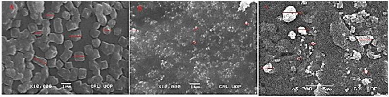 https://cdn.ncbi.nlm.nih.gov/pmc/blobs/cedf/9369860/4051cedad527/molecules-27-04707-g008.jpg