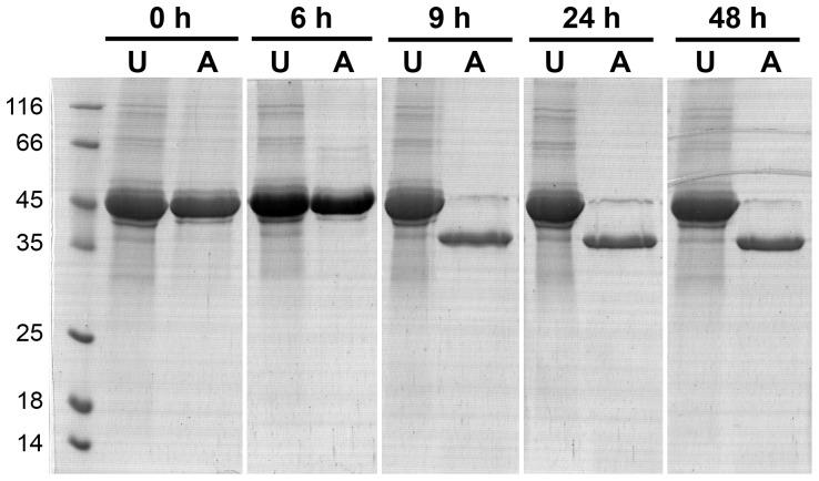 https://cdn.ncbi.nlm.nih.gov/pmc/blobs/cee1/3930733/cc86084c2b82/pone.0089424.g005.jpg