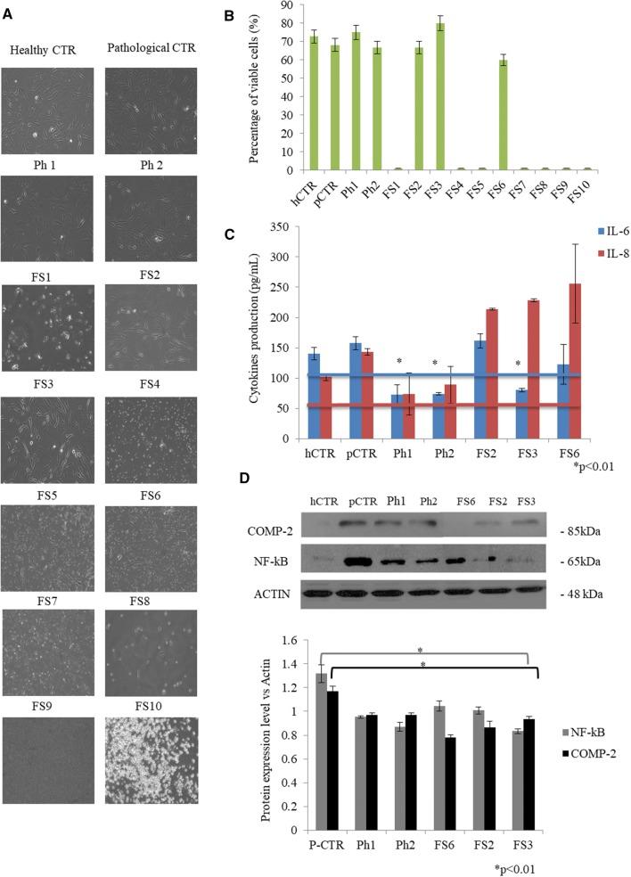 https://cdn.ncbi.nlm.nih.gov/pmc/blobs/cee1/6822805/f52d6d2d186a/12325_2019_1064_Fig4_HTML.jpg