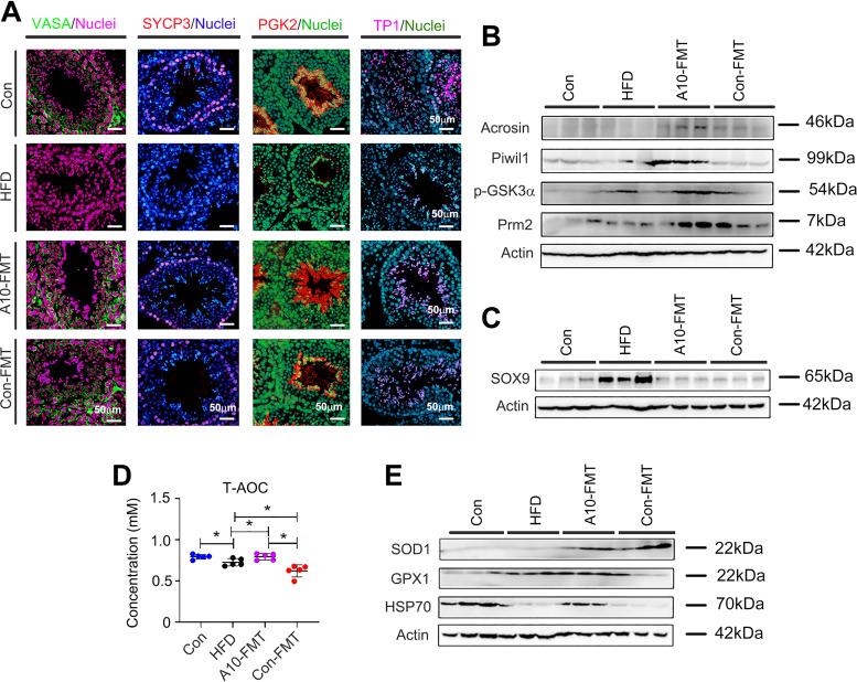 https://cdn.ncbi.nlm.nih.gov/pmc/blobs/cee1/9241630/4ee4be6ffcb8/spectrum.00028-22-f007.jpg