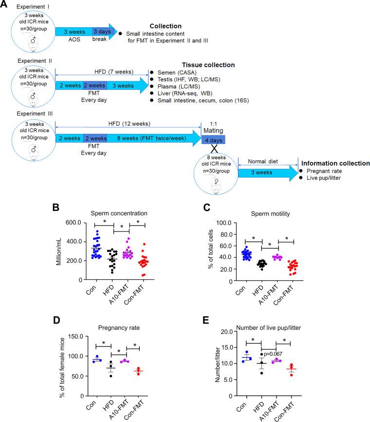 https://cdn.ncbi.nlm.nih.gov/pmc/blobs/cee1/9241630/b6b057c41e7e/spectrum.00028-22-f001.jpg