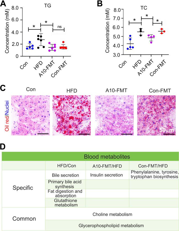 https://cdn.ncbi.nlm.nih.gov/pmc/blobs/cee1/9241630/f588182753cb/spectrum.00028-22-f003.jpg