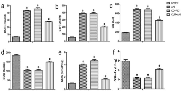 https://cdn.ncbi.nlm.nih.gov/pmc/blobs/cee2/12298030/218d58c7a1ed/pharmaceutics-17-00855-g005.jpg