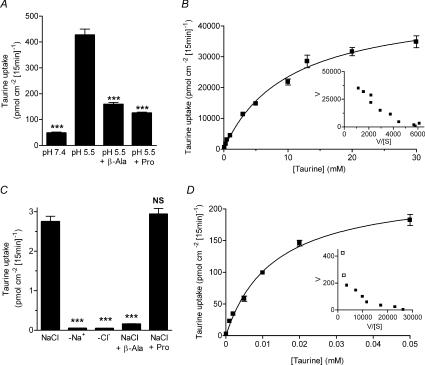 https://cdn.ncbi.nlm.nih.gov/pmc/blobs/cee3/2669967/f00131f75a42/tjp0587-0731-f5.jpg