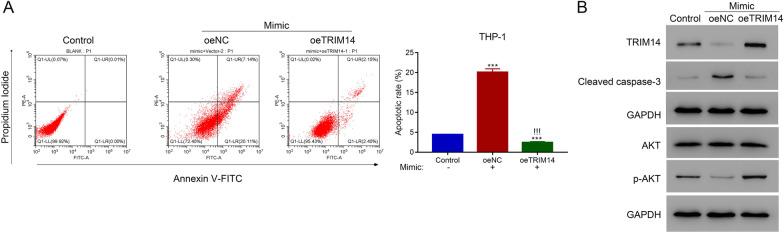 https://cdn.ncbi.nlm.nih.gov/pmc/blobs/cee5/8520262/989a60322640/10020_2021_393_Fig6_HTML.jpg