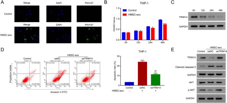 https://cdn.ncbi.nlm.nih.gov/pmc/blobs/cee5/8520262/da39dabebf9f/10020_2021_393_Fig3_HTML.jpg
