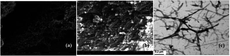 https://cdn.ncbi.nlm.nih.gov/pmc/blobs/cee6/9058333/54965c3f2f65/d0ra07775e-f6.jpg