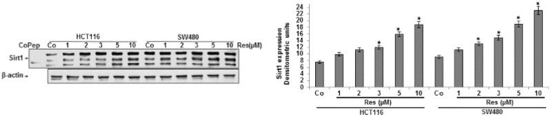 https://cdn.ncbi.nlm.nih.gov/pmc/blobs/cee7/4808874/19185fd69020/nutrients-08-00145-g001.jpg