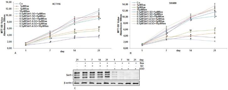 https://cdn.ncbi.nlm.nih.gov/pmc/blobs/cee7/4808874/2bb8364b4063/nutrients-08-00145-g002.jpg