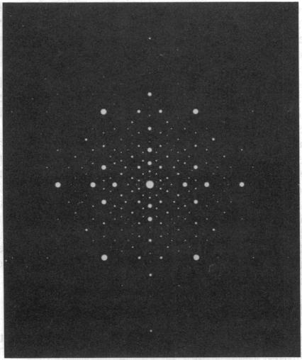 https://cdn.ncbi.nlm.nih.gov/pmc/blobs/cee9/298332/08a6b58b600b/pnas00289-0013-a.jpg