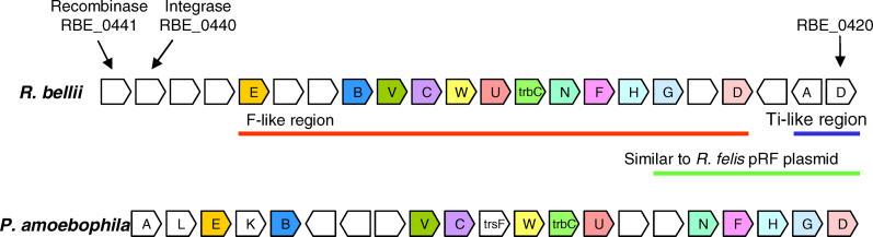 https://cdn.ncbi.nlm.nih.gov/pmc/blobs/ceea/1464827/30b21e84102c/pgen.0020076.g003.jpg