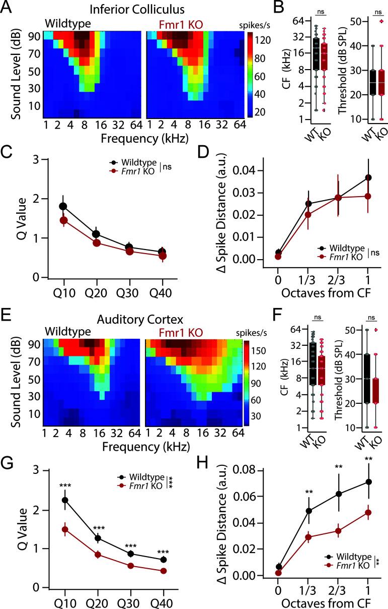 https://cdn.ncbi.nlm.nih.gov/pmc/blobs/ceed/12237272/bac9734ce66e/pbio.3003248.g003.jpg