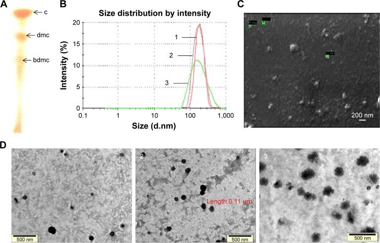 https://cdn.ncbi.nlm.nih.gov/pmc/blobs/ceed/5863624/2e426973a65e/ijn-13-101Fig1.jpg