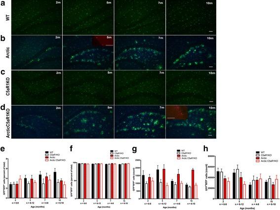 https://cdn.ncbi.nlm.nih.gov/pmc/blobs/ceef/5604420/2867b41f0e95/13024_2017_210_Fig3_HTML.jpg