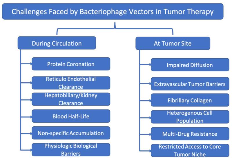 https://cdn.ncbi.nlm.nih.gov/pmc/blobs/cef1/8745063/e9bbe7e8ffa7/ijms-23-00402-g002.jpg