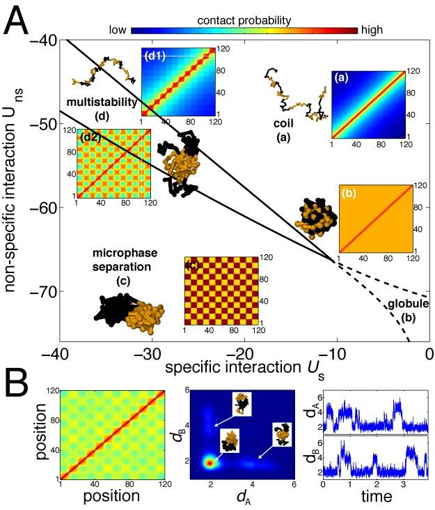 https://cdn.ncbi.nlm.nih.gov/pmc/blobs/cef2/4150797/80cc46f536cc/gku698fig2.jpg