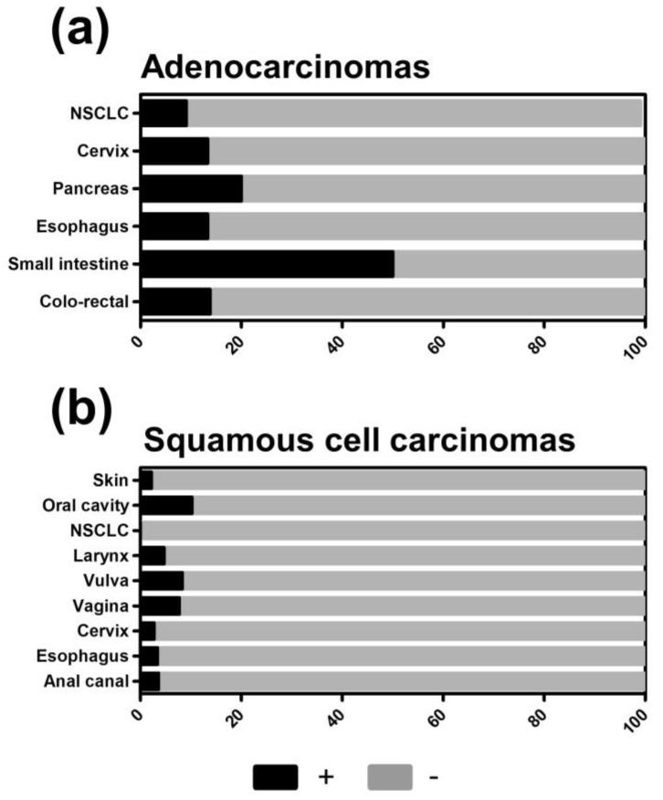 https://cdn.ncbi.nlm.nih.gov/pmc/blobs/cef2/7603212/df9fc3c6dde0/cancers-12-03028-g003.jpg