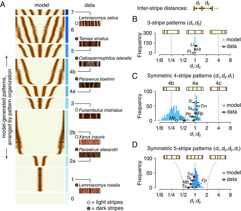 https://cdn.ncbi.nlm.nih.gov/pmc/blobs/cef5/10636316/697c78423911/pnas.2312077120fig03.jpg