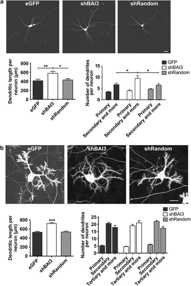 https://cdn.ncbi.nlm.nih.gov/pmc/blobs/cef7/3730300/b9f742520c3c/mp201346f1.jpg