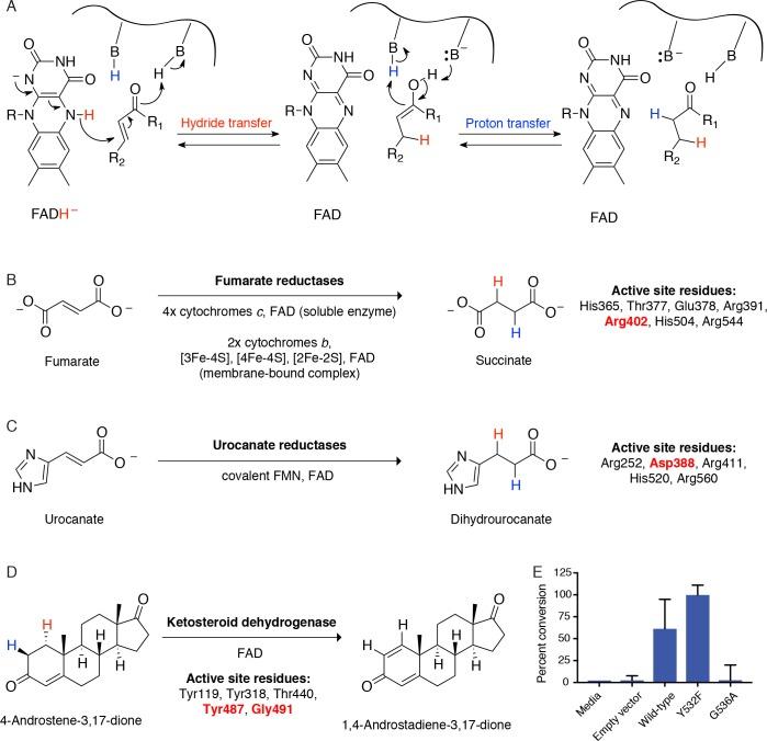https://cdn.ncbi.nlm.nih.gov/pmc/blobs/cef8/5953540/1b2670bb49a2/elife-33953-fig5-figsupp4.jpg