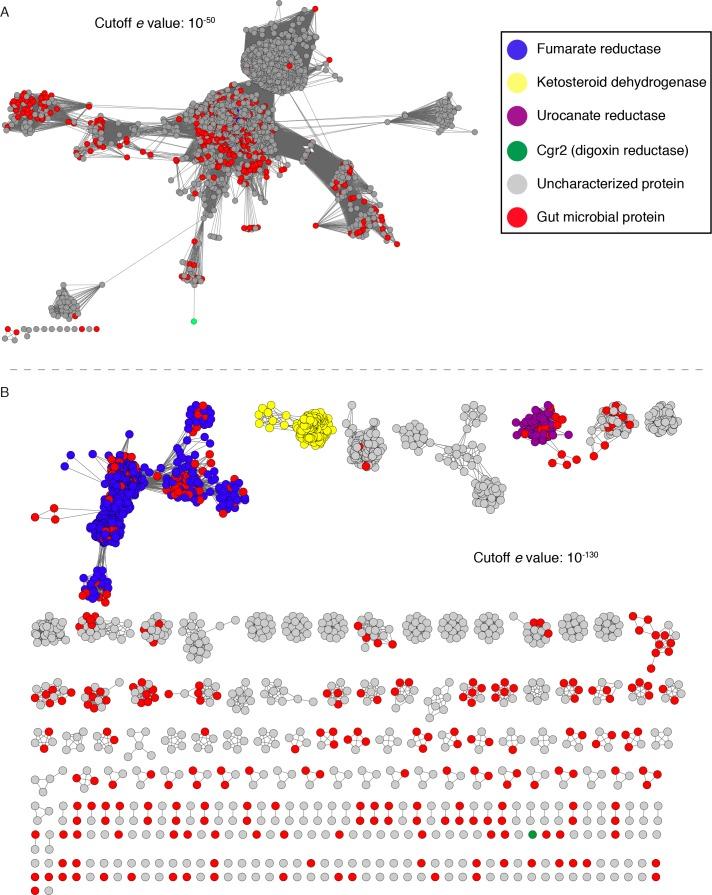 https://cdn.ncbi.nlm.nih.gov/pmc/blobs/cef8/5953540/284af214f9cb/elife-33953-fig5.jpg