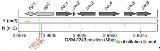 https://cdn.ncbi.nlm.nih.gov/pmc/blobs/cef8/5953540/43f747b19f75/elife-33953-resp-fig3.jpg