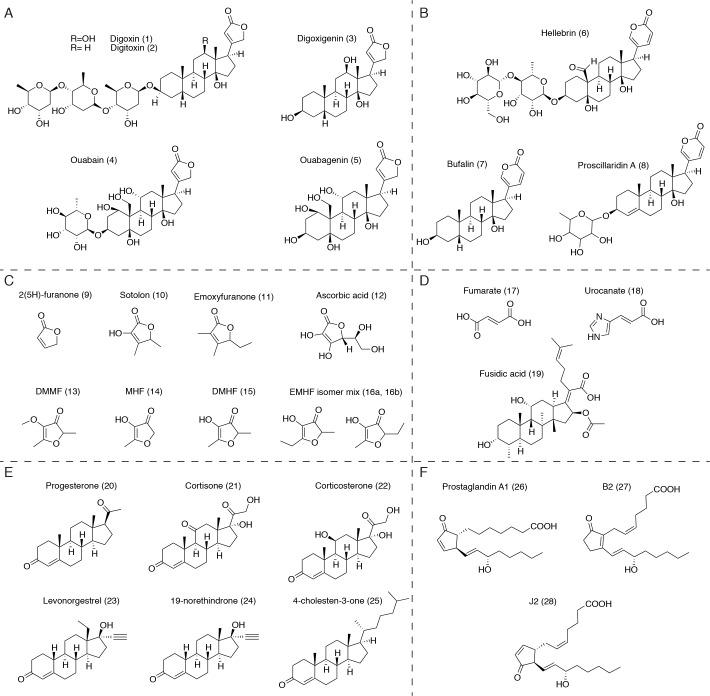 https://cdn.ncbi.nlm.nih.gov/pmc/blobs/cef8/5953540/44a90fad9eca/elife-33953-fig4-figsupp1.jpg