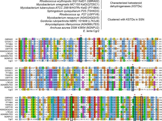 https://cdn.ncbi.nlm.nih.gov/pmc/blobs/cef8/5953540/49e88bf17ac2/elife-33953-fig5-figsupp3.jpg