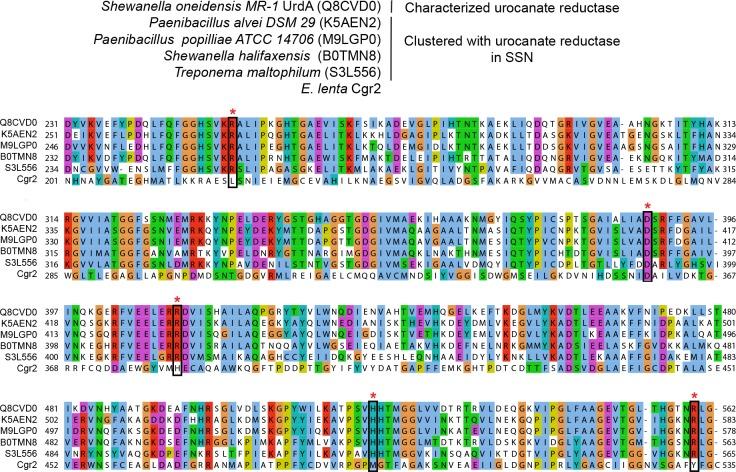 https://cdn.ncbi.nlm.nih.gov/pmc/blobs/cef8/5953540/8e6bf2a5b955/elife-33953-fig5-figsupp2.jpg