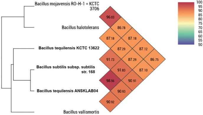 https://cdn.ncbi.nlm.nih.gov/pmc/blobs/cefa/10237388/b788d2784ba5/pone.0285994.g001.jpg