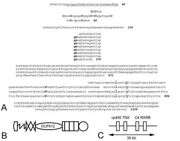 https://cdn.ncbi.nlm.nih.gov/pmc/blobs/cefa/1578592/613853b76b4e/1471-2148-6-60-4.jpg