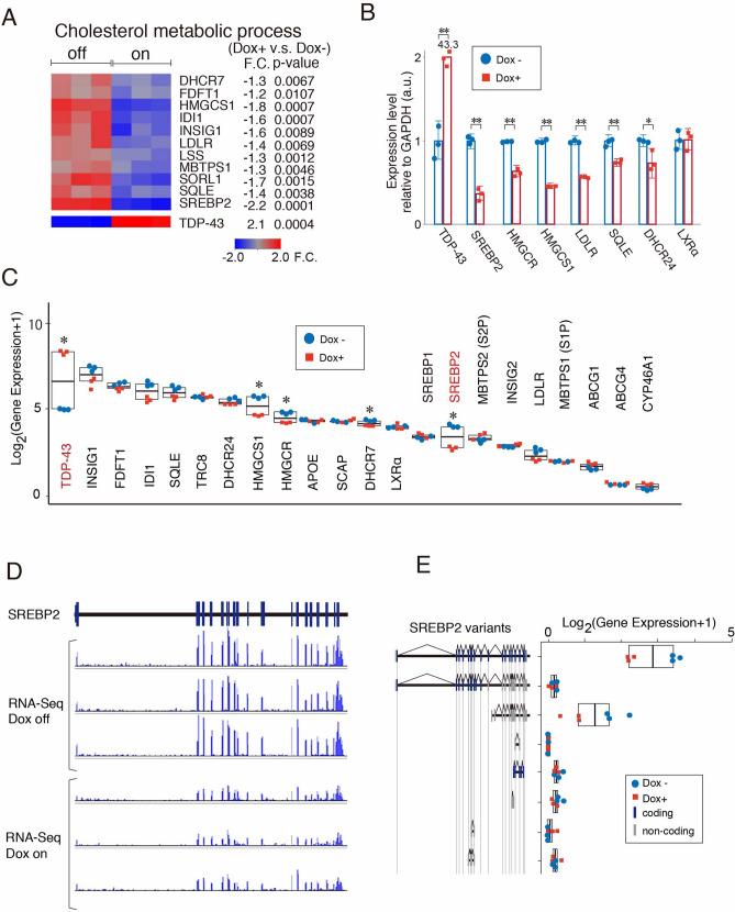 https://cdn.ncbi.nlm.nih.gov/pmc/blobs/cefb/9107471/4e0be5a2cebc/41598_2022_12133_Fig1_HTML.jpg