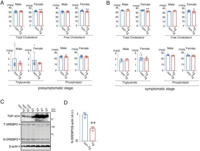 https://cdn.ncbi.nlm.nih.gov/pmc/blobs/cefb/9107471/8ef7f5e8b2d3/41598_2022_12133_Fig4_HTML.jpg