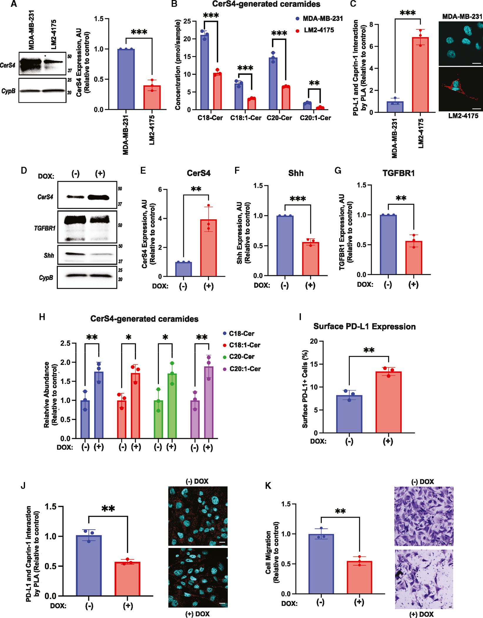 https://cdn.ncbi.nlm.nih.gov/pmc/blobs/cf01/11404065/9514fbd99f83/nihms-2019510-f0004.jpg