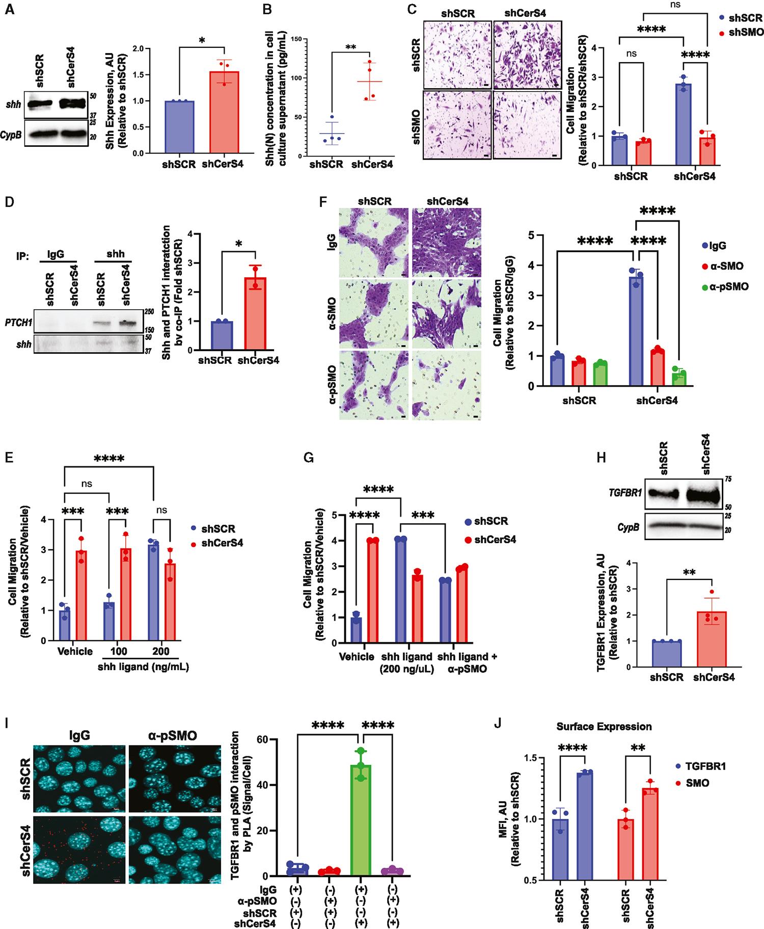 https://cdn.ncbi.nlm.nih.gov/pmc/blobs/cf01/11404065/c4aadf3dcc35/nihms-2019510-f0002.jpg
