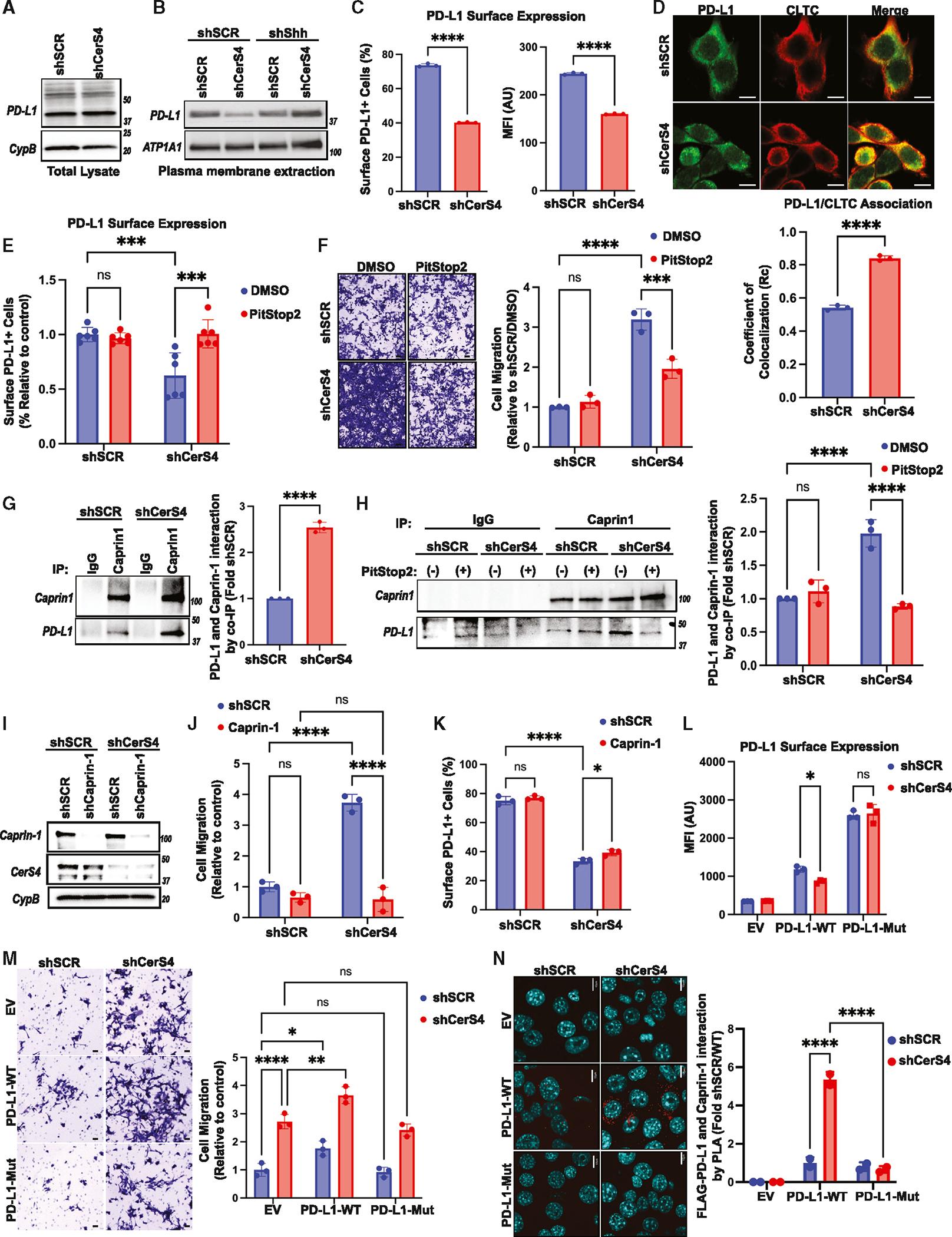 https://cdn.ncbi.nlm.nih.gov/pmc/blobs/cf01/11404065/ca2fe655f2a6/nihms-2019510-f0003.jpg