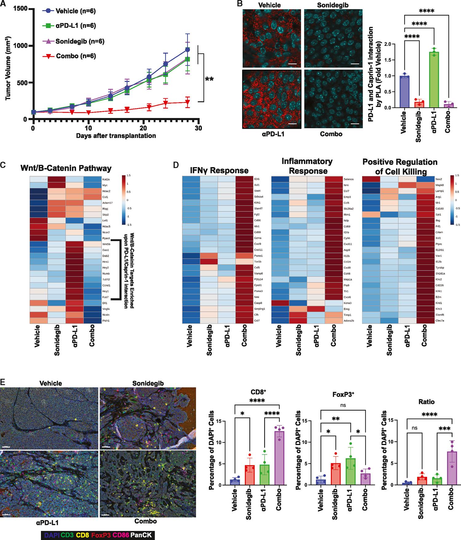 https://cdn.ncbi.nlm.nih.gov/pmc/blobs/cf01/11404065/eafc94a8938f/nihms-2019510-f0007.jpg