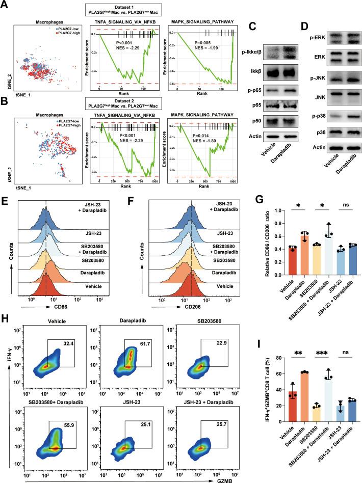 https://cdn.ncbi.nlm.nih.gov/pmc/blobs/cf06/10824072/764c05e45a79/jitc-2023-008094f06.jpg