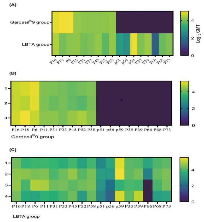https://cdn.ncbi.nlm.nih.gov/pmc/blobs/cf07/11209485/c648dd7004e7/vaccines-12-00689-g005.jpg