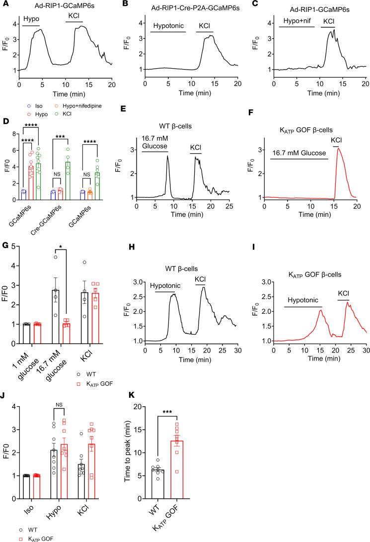 https://cdn.ncbi.nlm.nih.gov/pmc/blobs/cf07/12220942/25f341eb3490/jciinsight-10-188020-g216.jpg
