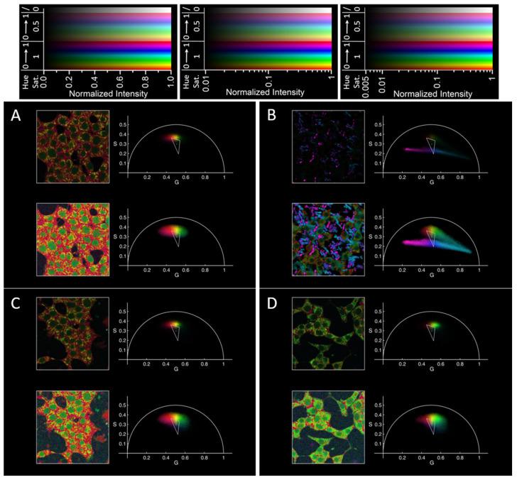 https://cdn.ncbi.nlm.nih.gov/pmc/blobs/cf09/11085555/1d2b7d20677e/molecules-29-02137-g004.jpg