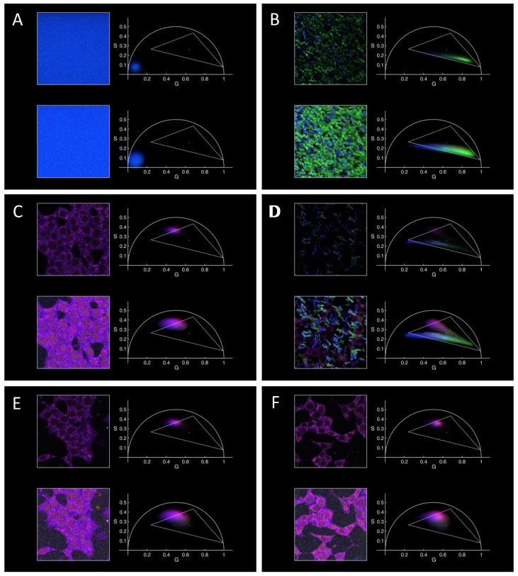 https://cdn.ncbi.nlm.nih.gov/pmc/blobs/cf09/11085555/b36728230917/molecules-29-02137-g003.jpg
