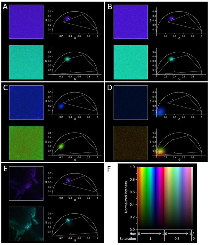https://cdn.ncbi.nlm.nih.gov/pmc/blobs/cf09/11085555/dbbdad636864/molecules-29-02137-g002.jpg