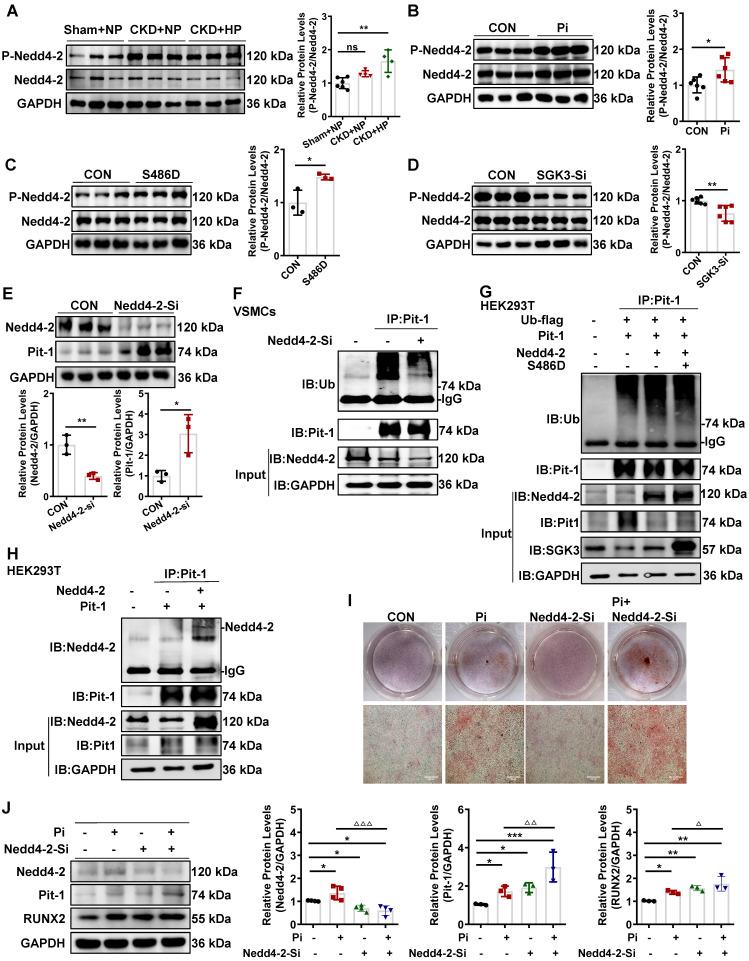 https://cdn.ncbi.nlm.nih.gov/pmc/blobs/cf0e/10758069/203760c1bf23/thnov14p0861g007.jpg