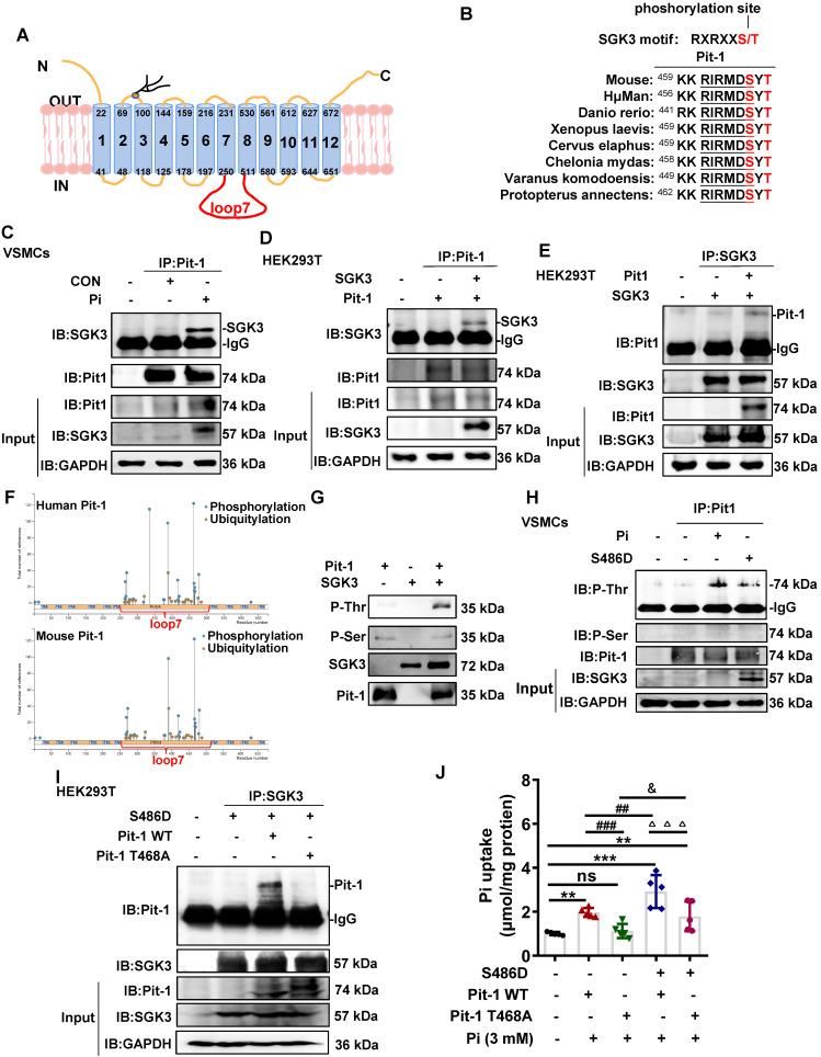 https://cdn.ncbi.nlm.nih.gov/pmc/blobs/cf0e/10758069/3be043078b4b/thnov14p0861g004.jpg