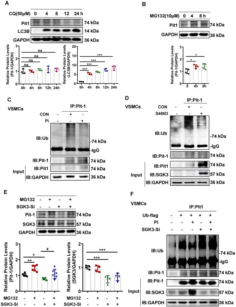 https://cdn.ncbi.nlm.nih.gov/pmc/blobs/cf0e/10758069/3c3d07fd71ac/thnov14p0861g006.jpg