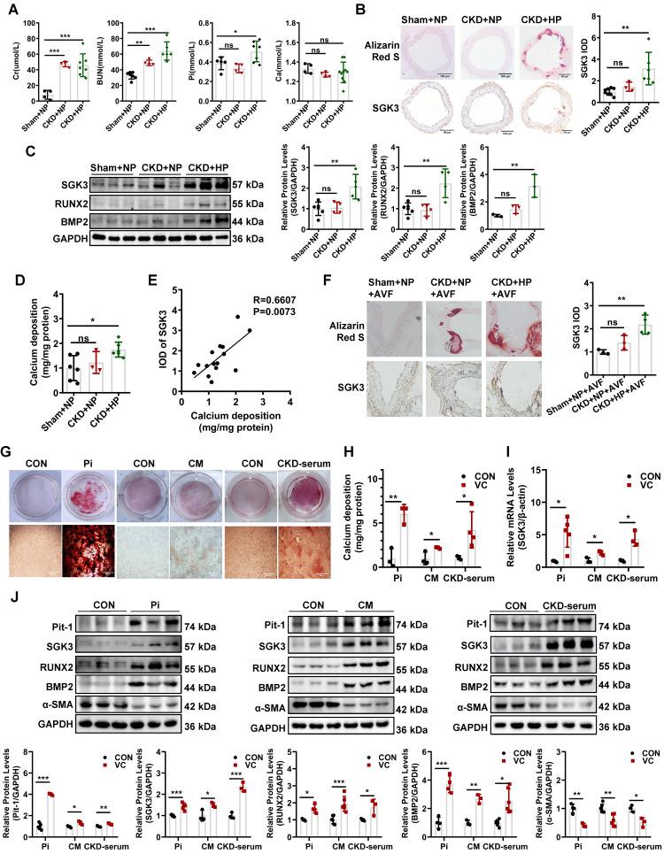 https://cdn.ncbi.nlm.nih.gov/pmc/blobs/cf0e/10758069/b97023a5d8ee/thnov14p0861g001.jpg