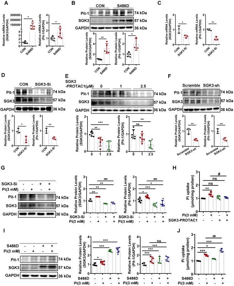 https://cdn.ncbi.nlm.nih.gov/pmc/blobs/cf0e/10758069/cb9f8e814275/thnov14p0861g003.jpg