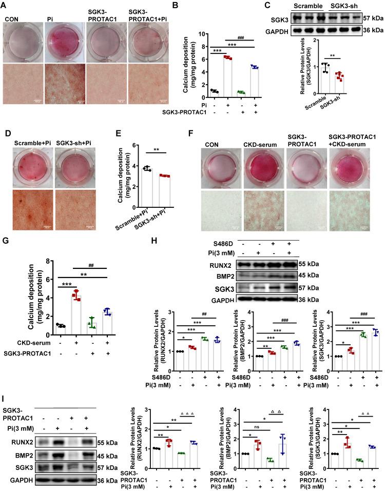 https://cdn.ncbi.nlm.nih.gov/pmc/blobs/cf0e/10758069/e02e3636a262/thnov14p0861g002.jpg