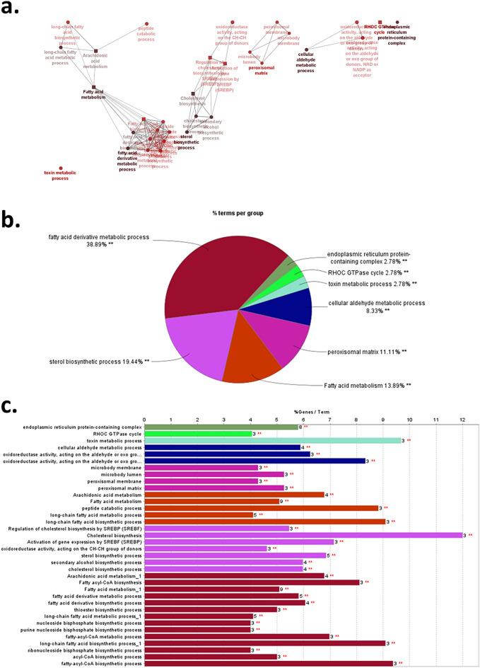https://cdn.ncbi.nlm.nih.gov/pmc/blobs/cf0e/11139894/178c2056f235/41598_2024_63410_Fig4_HTML.jpg